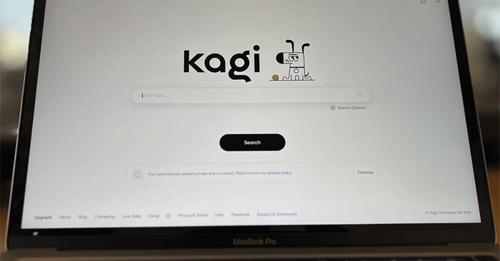 Is It Worth Paying for a Premium Search Engine?