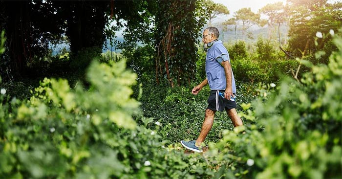Japanese Walking: This Gentle Exercise Can Give You a Healthier Heart