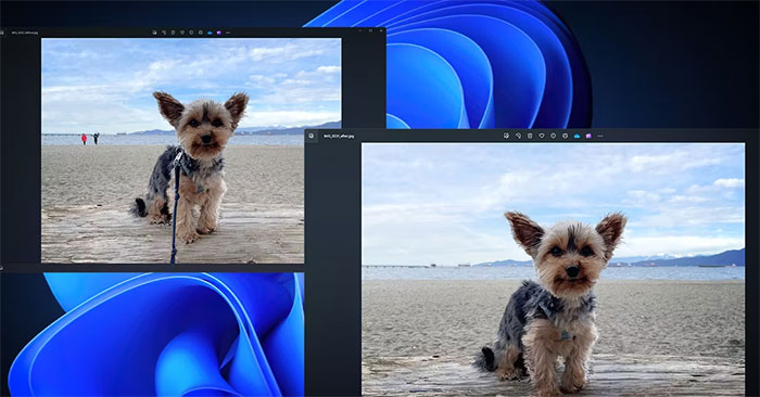Learn About the Generative Erase Feature of the Windows Photos Application