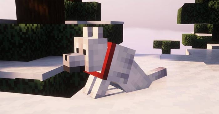 All 9 Minecraft Wolf Variants: Biomes, Pack Sizes, and Rarity