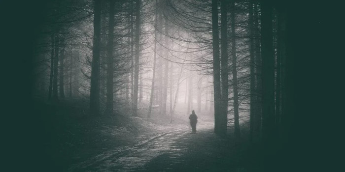 Mysterious Unsolved Murders and Disappearances: Key Cases