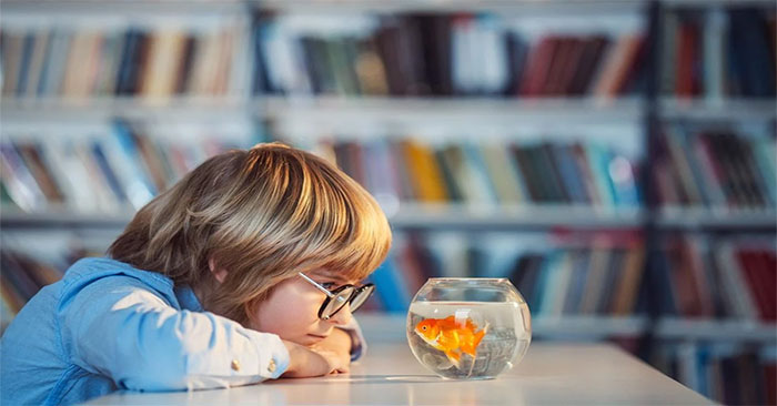 New Research Shows Fish Are Smarter Than We Thought