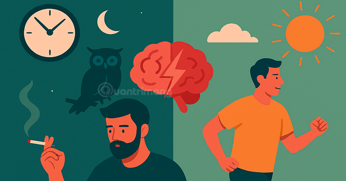 Night Owls and the Risk of Stroke: Why Does Staying Up Late Harm Your Heart?