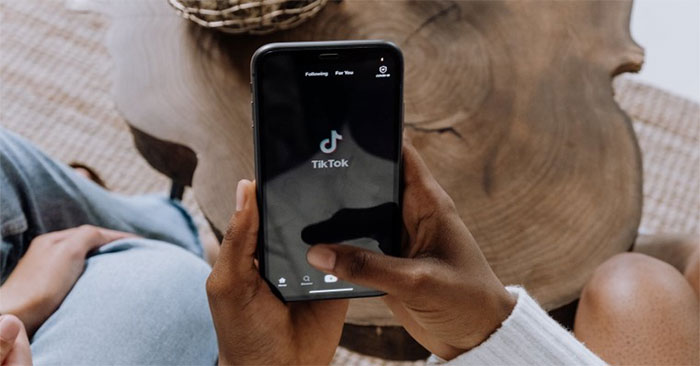 Parent Company TikTok Entered the AI Chatbot Race