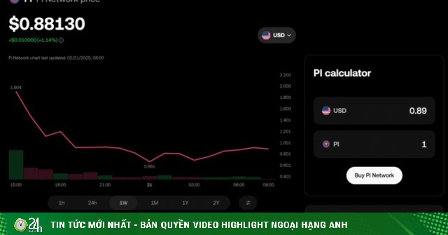 Pi Goes Public and Then Plummets: Pi Players React