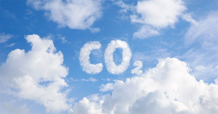Plants Cannot Absorb as Much CO₂ as We Once Thought: Explained