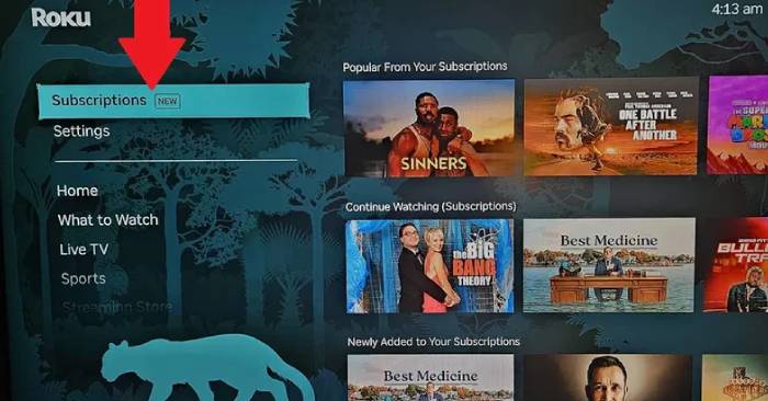 Roku's new subscription feature is making users forget about Google TV.