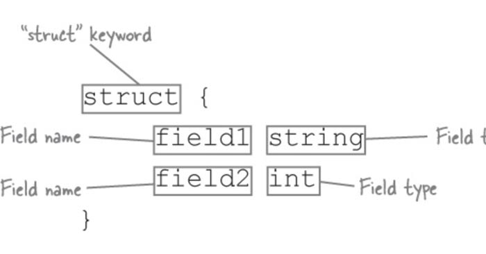 Recommended Fields in Golang