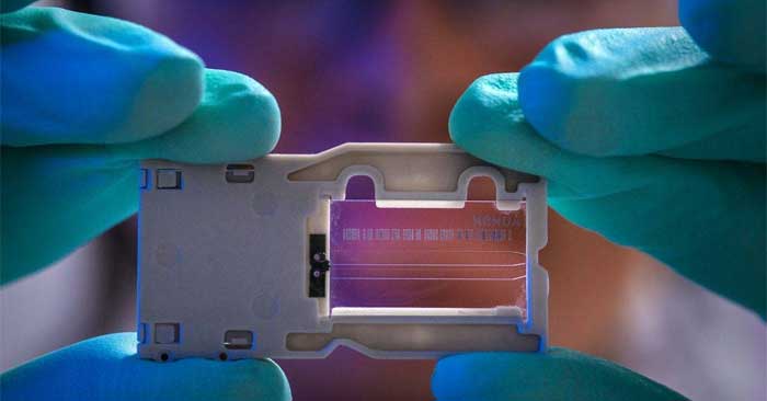 2025 science highlights: optical computing, malaria antibodies, and AI
