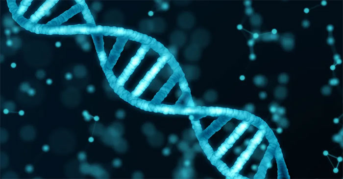Scientists Have for the First Time Published the Most Detailed 4D Map of the Human Genome