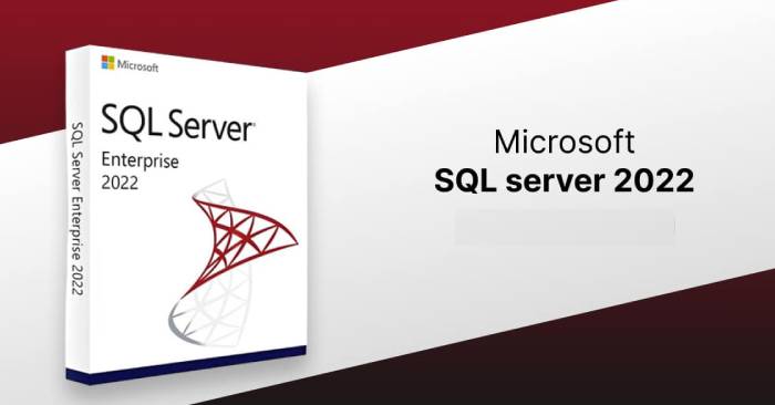 SQL Server 2022 Installation Guide