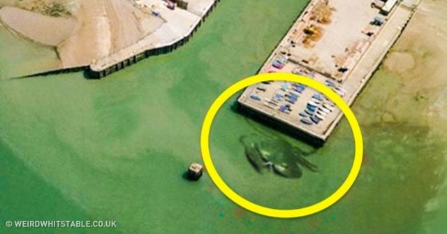 Strange Images Found on Google Maps That Will Leave You Bewildered