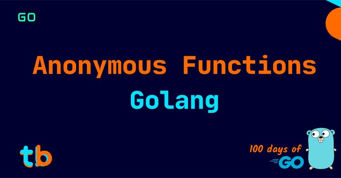 Anonymous Structures and Fields in Golang