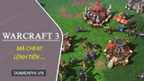 Summary of Warcraft 3 Codes, the Most Standard Warcraft 3 Money