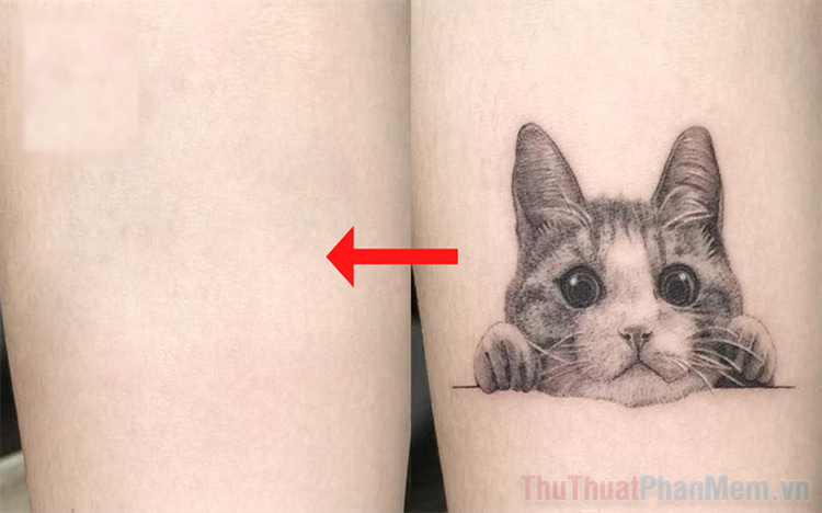 Tattoo Transplant App - 5 Apps to Combine Tattoos into Standard Photos Explained