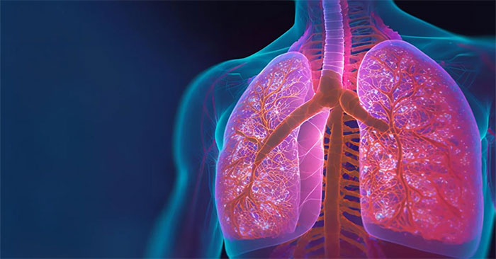 Man survives 48 hours without lungs: An unprecedented medical miracle.