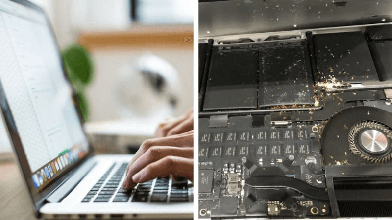 The Simplest Tips to Deal with Ants Crawling into Your Laptop at Home
