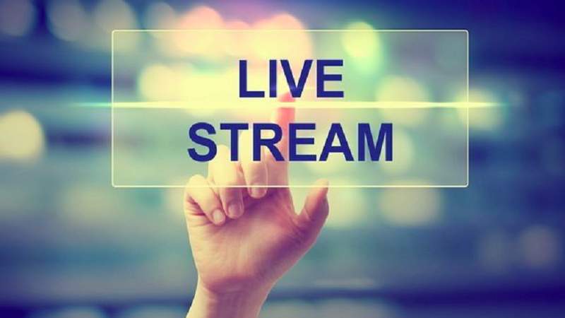TOP Best Livestream Webcams, Easy to Use: Complete Guide
