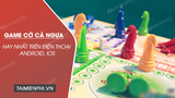 Top Best Seahorse Chess Games: What You Need to Know