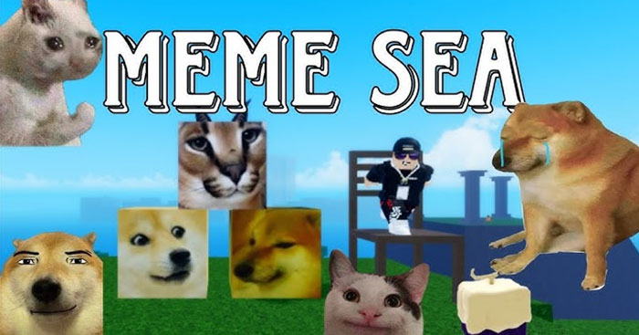 Meme Sea Race Tier List: Fish, Bird, Rabbit, or Human?