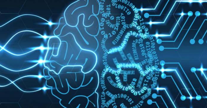Training a Perceptron in Machine Learning
