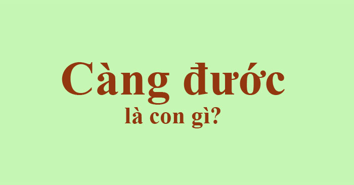 What Is a Mangrove?: What Is a Mangrove Turtle