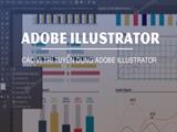 What Is Adobe Illustrator, and Which Careers Use It?