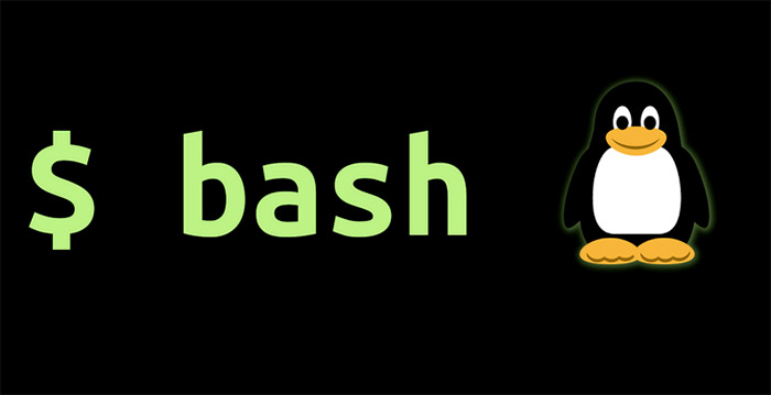 What Is Bash in Linux? What Can It Be Used For?