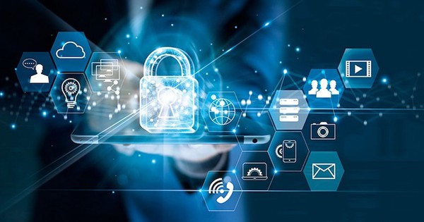 What Is Database Security and How to Secure the Database Effectively?