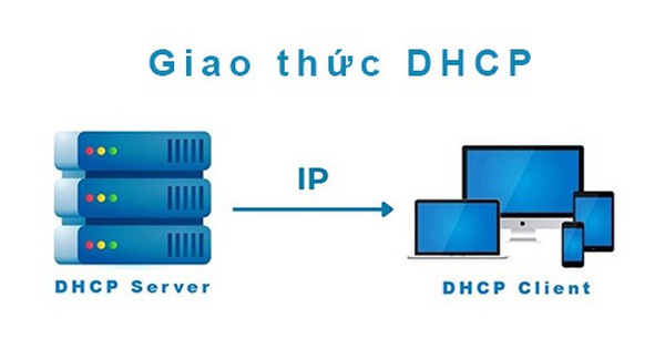 What Is DHCP and Static IP? Should I Choose DHCP or Static IP?