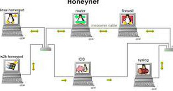 What is Honeynet? Benefits of Honeynet against cyber attacks