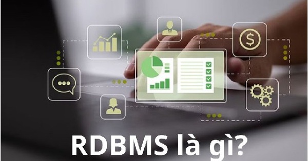 What Is RDBMS? Things You Need to Know About RDBMS