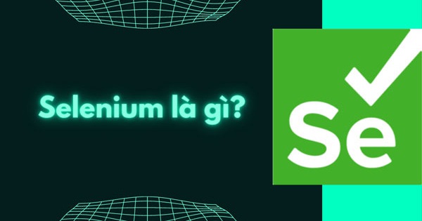 What is Selenium? Overview of information you need to know about Selenium