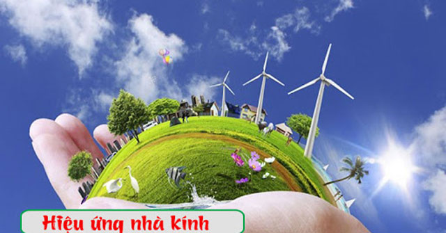 What Is the Greenhouse Effect? Gases That Cause the Greenhouse