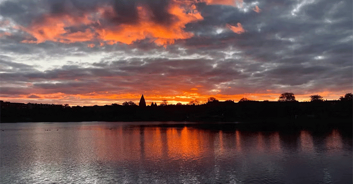 When and When Not to Use Auto-enhance on Smartphone Photos?