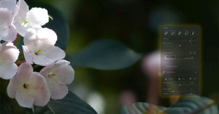 Why Is Lens Blur a Photoshop Tool Used for Artistic Photo Editing?