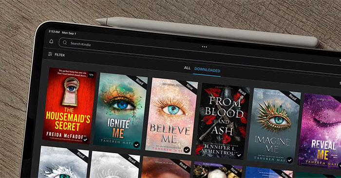 Why Is Kindle the Best Reading App?