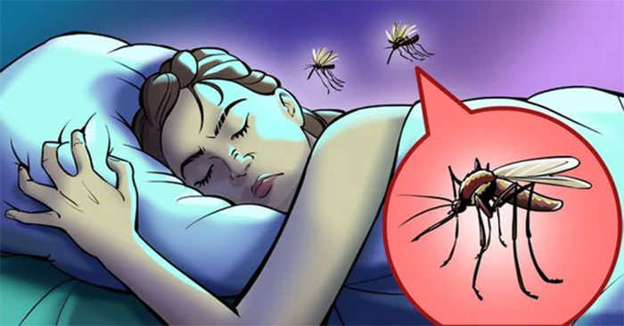 Why Mosquitoes Are Always Buzzing Around Our Ears and Simple Ways