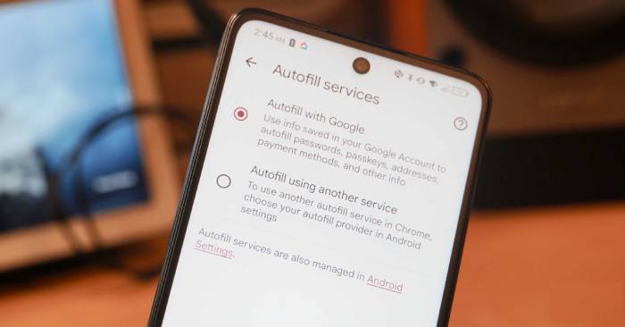 Why Is Browser Autofill a Security Risk: Key Reasons Explained