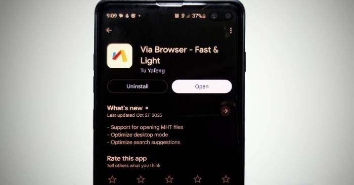 Why Should You Use via Browser Instead of Chrome on Android: Explained
