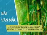 Your Feelings About Bamboo as Our Comrade in Arms and the Role