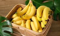 14 foods to help men with premature ejaculation prolong lovemaking time