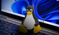 5 ways to use Linux to improve your Windows experience