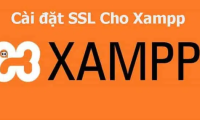 9 Steps to Install SSL for Xampp in Most Detail