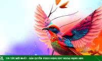 Adobe's magical AI video creation tool is now available
