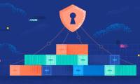 Agent runtime protection status