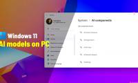 Instructions for testing AI models installed on Windows 11