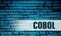 AI is shortening the modernization process of the over 60-year-old COBOL programming language, causing IBM shares to plummet.