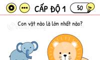 Brain Test Answers, the latest Brain Test solutions, continuously updated.