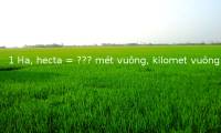 Can you guess: How many square meters (m2) and square kilometers (km2) are equal to 1 hectare?